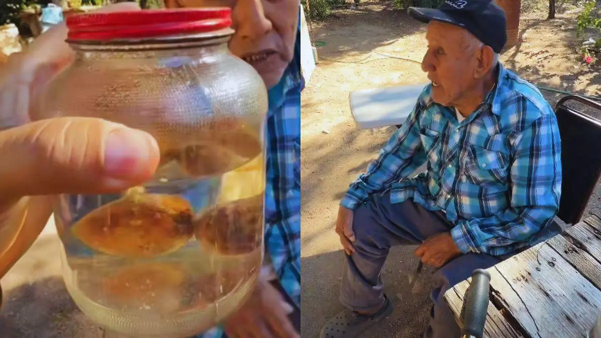 Alcohol con Aguacate