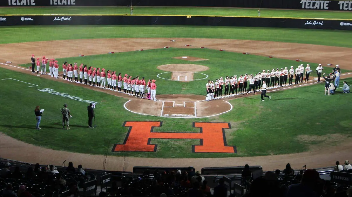 WhatsApp Image 2026-02-05 at 19.57.35 (2)