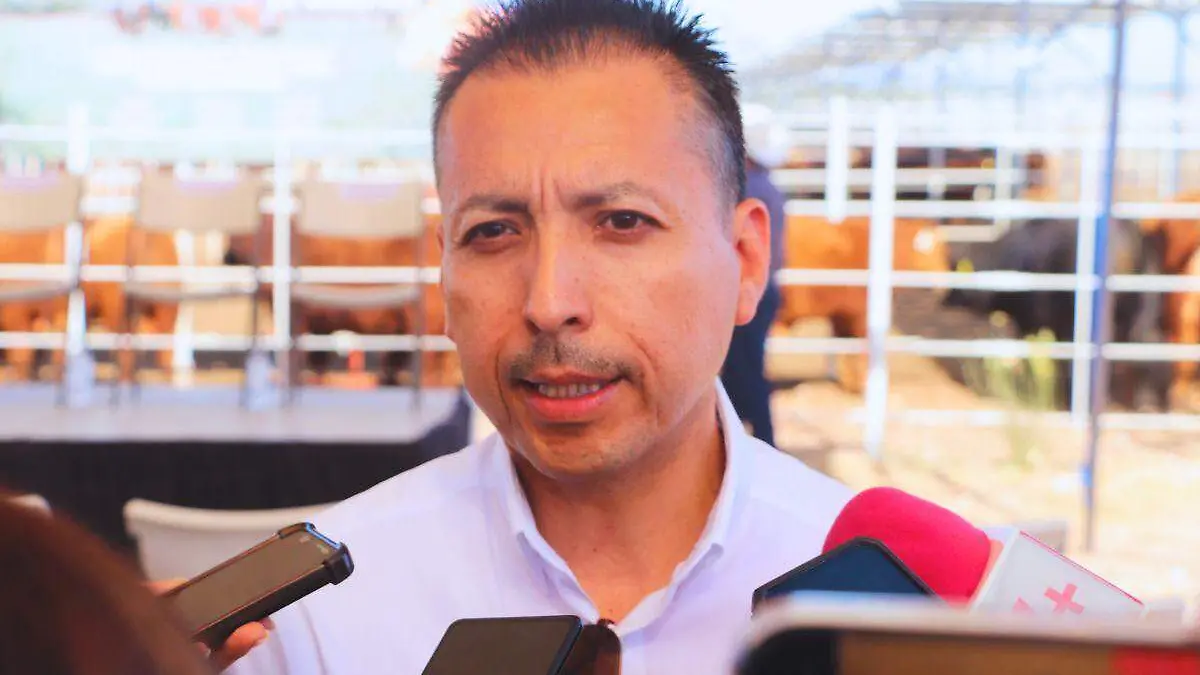 Saul Delgado Escalante