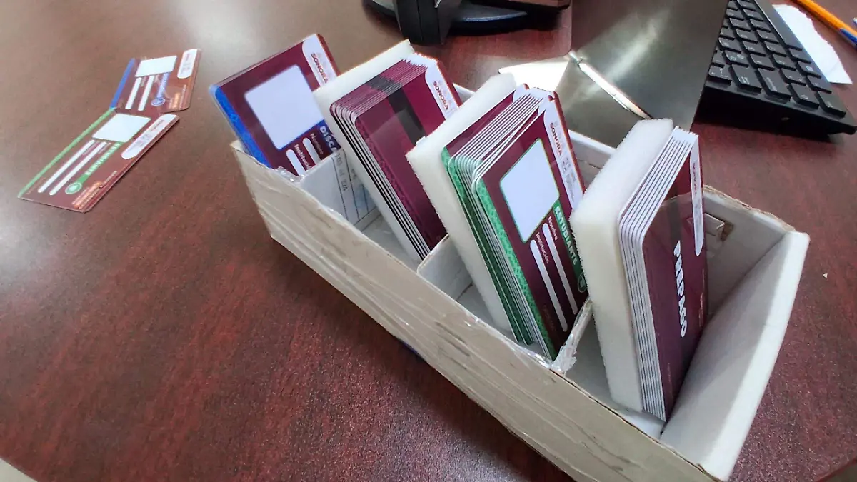 modulo credencialización1