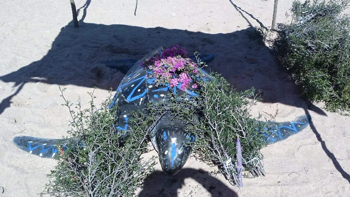 CAGUAMA SIETE FILOS 2