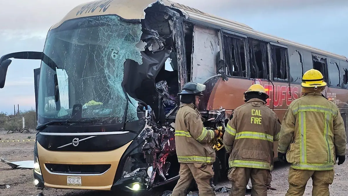 Image_20260213_081114_945