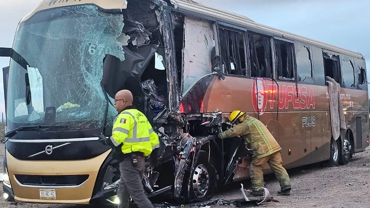 Image_20260213_081114_900