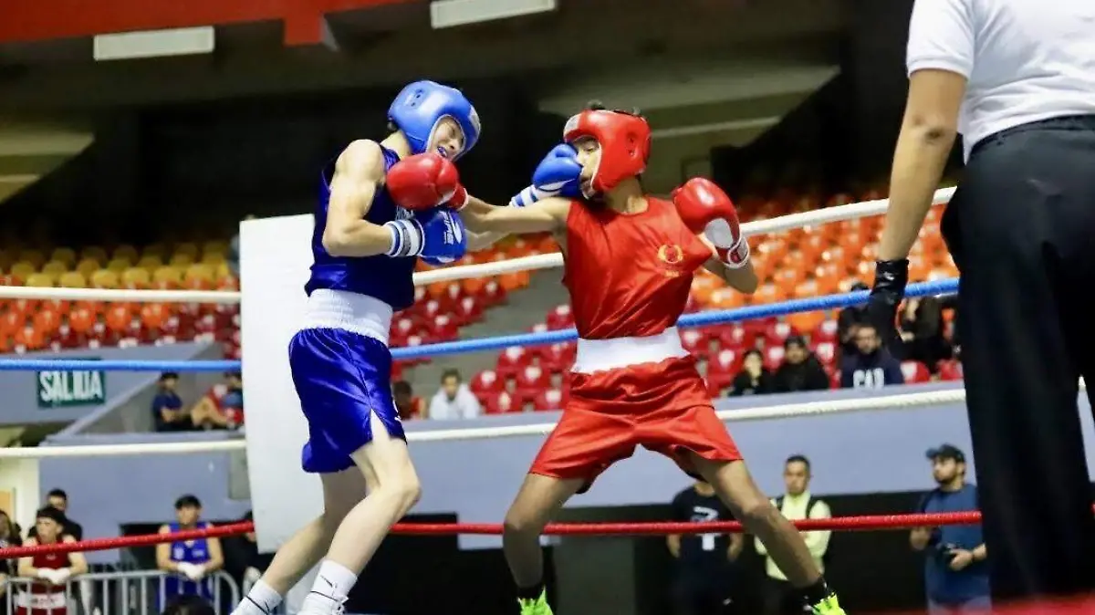 boxeo - Olimpiada Regional