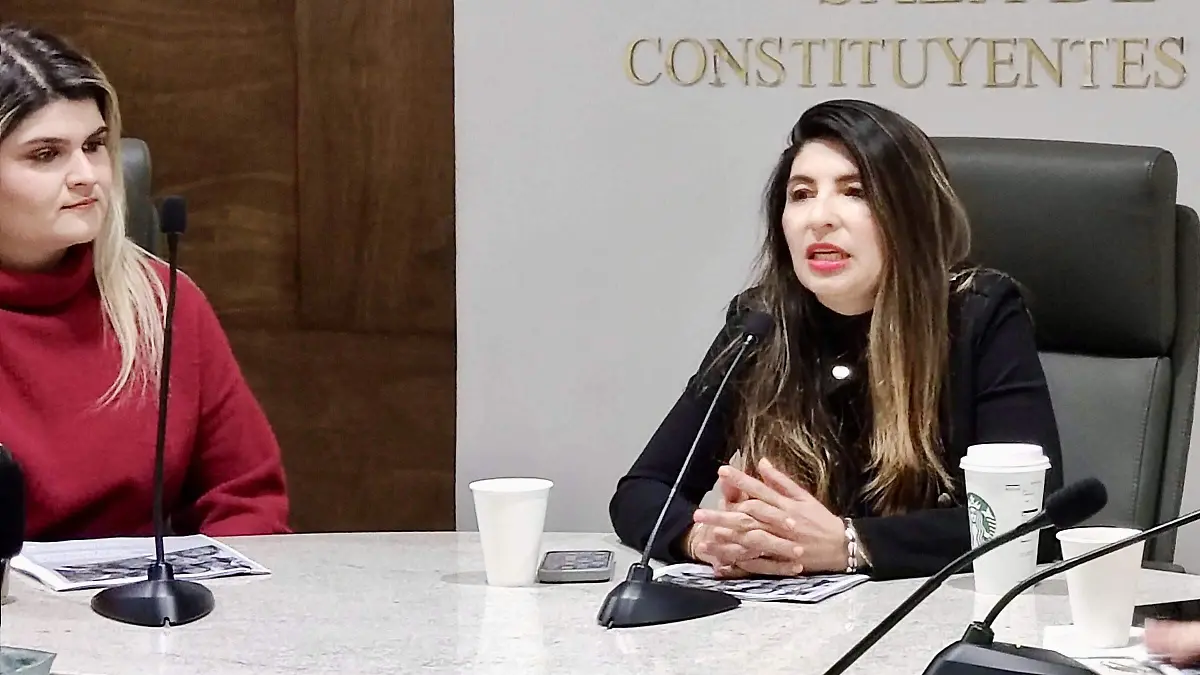 Lizeth Sandoval Meneses