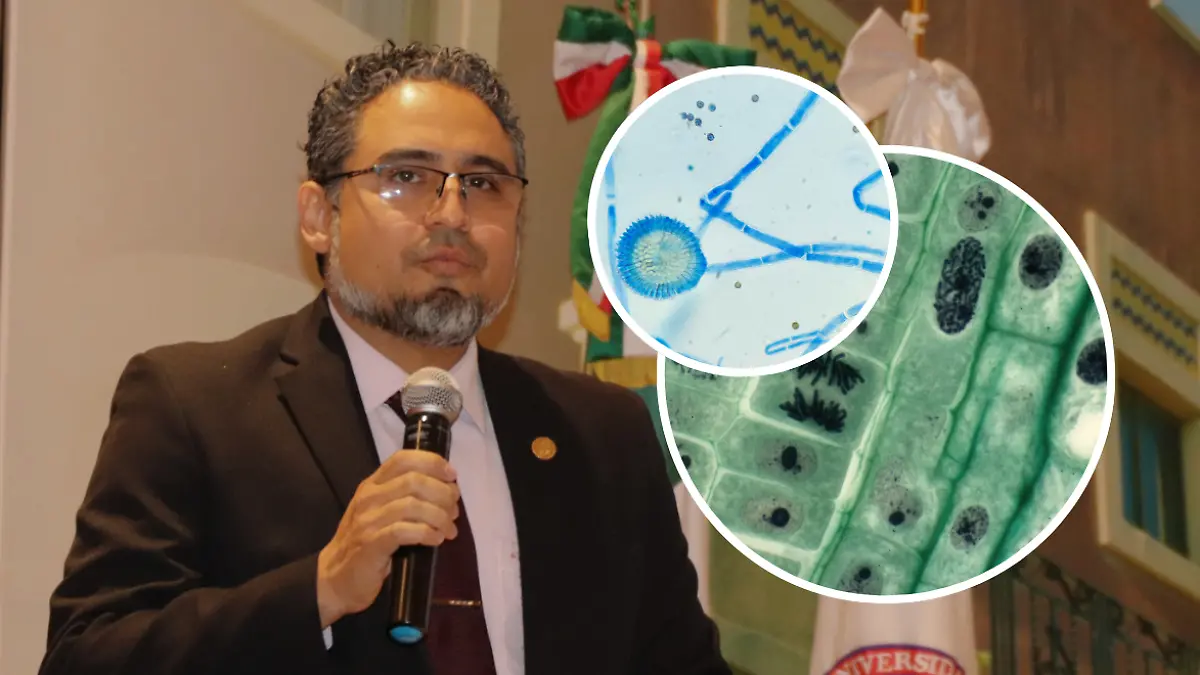 FULL SCREEN _ INVESTIGACIÓN CELULAR