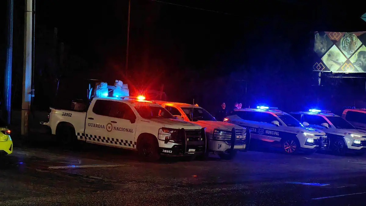 guardia nacional - patrullas