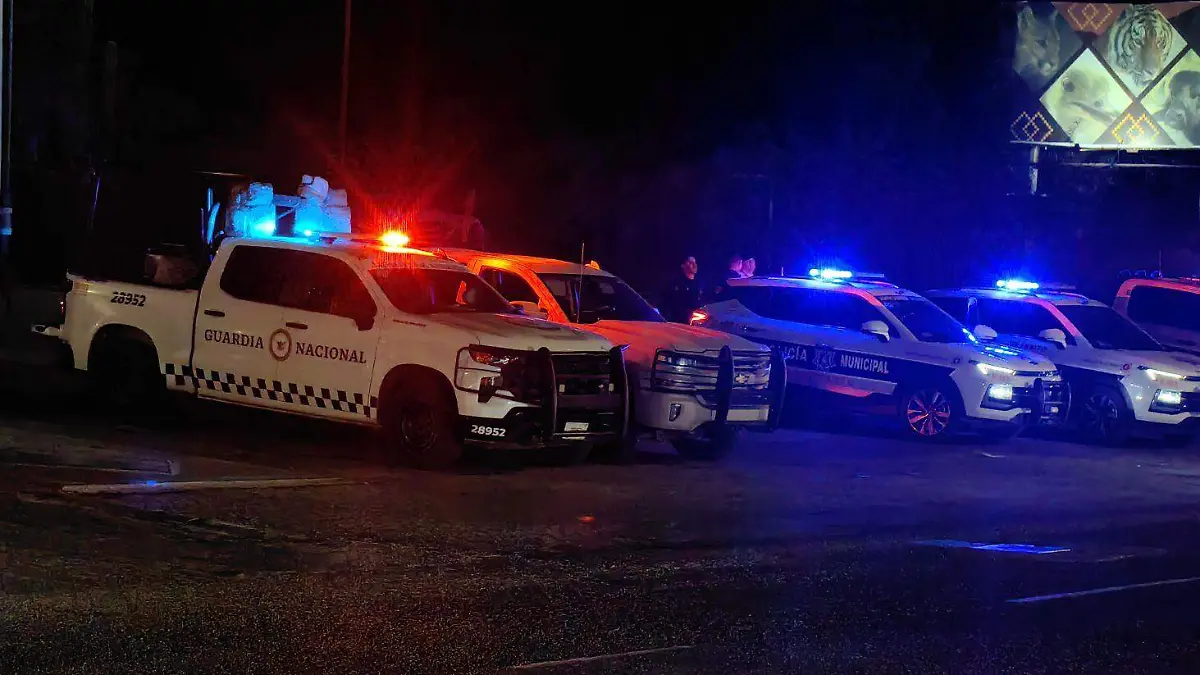 guardia nacional - patrullas