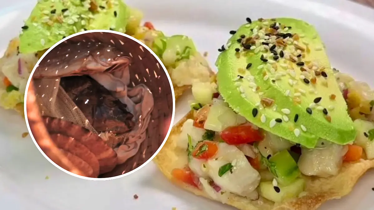 FULL SCREEN  TOSTADAS DE TOTOABA