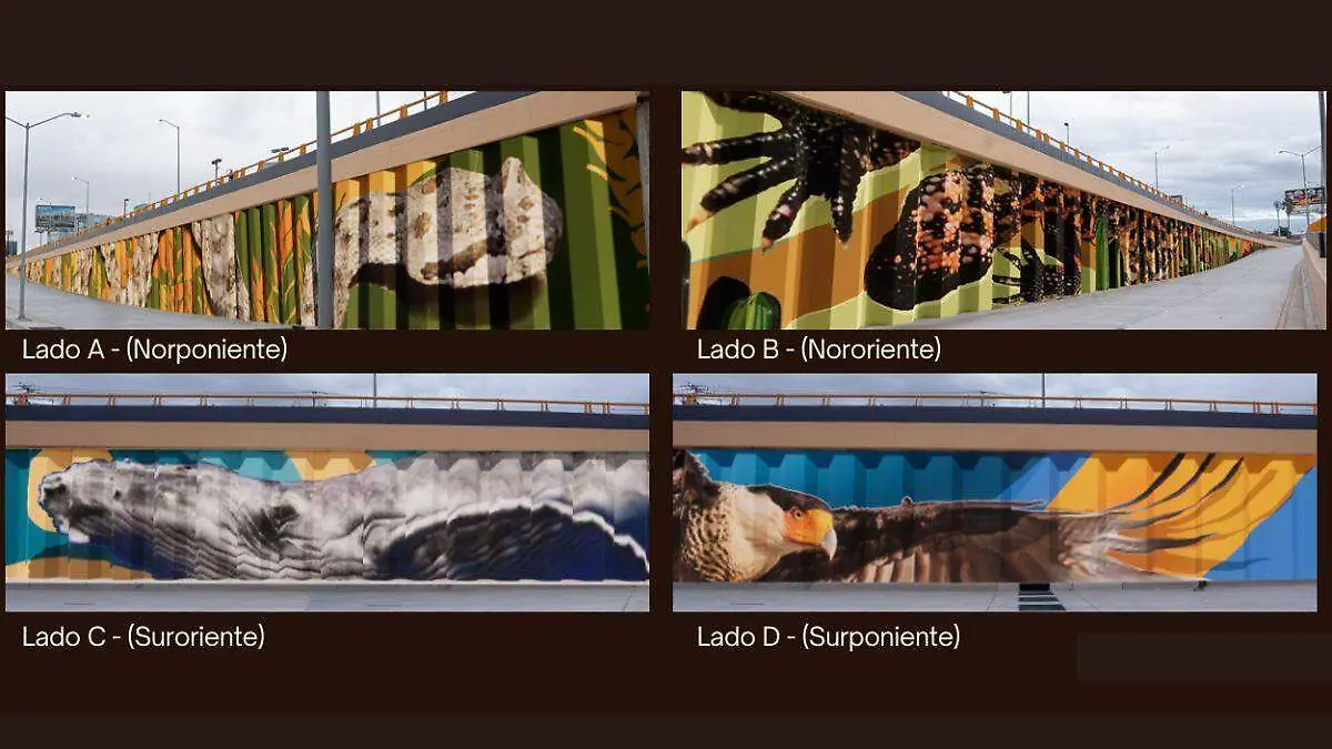 Murales Paso a Desnivel