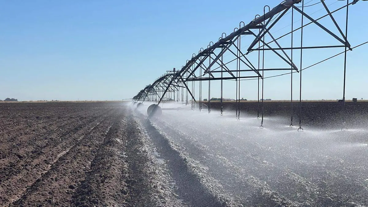 1 Riego en campos de Sonroa - cortesía Luis Cruz