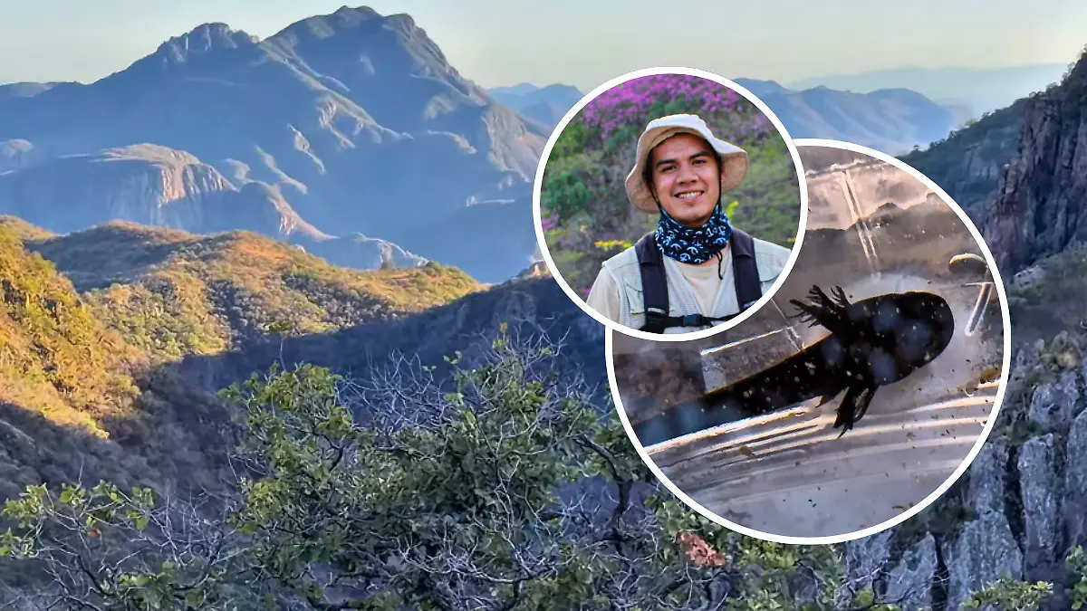 FULL SCREEN W2 IMAGES RIGHT _ AJOLOTES SIERRA