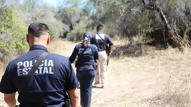 policía estatal - comisión de busqueda