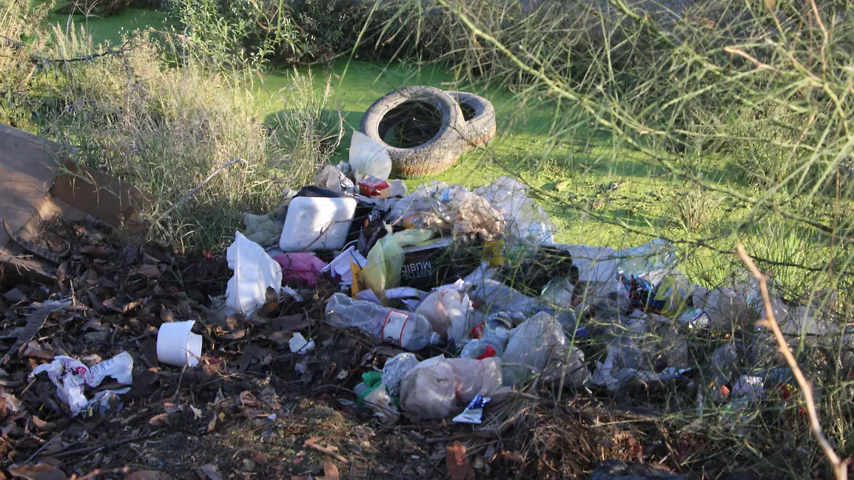 03-03-2026-Basureros -Cñlandestinos-canales y casas abandonadas-Cvillalba (6)