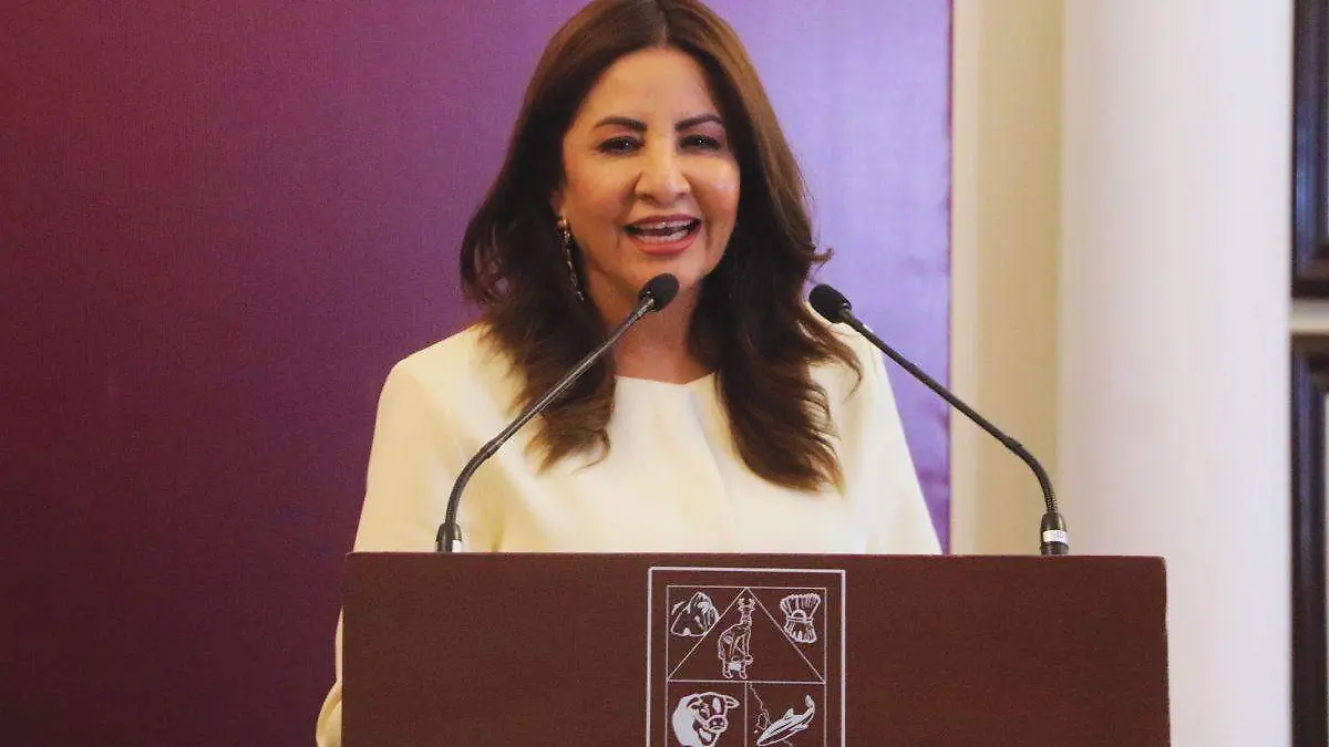 Ana Luisa Chávez Haro