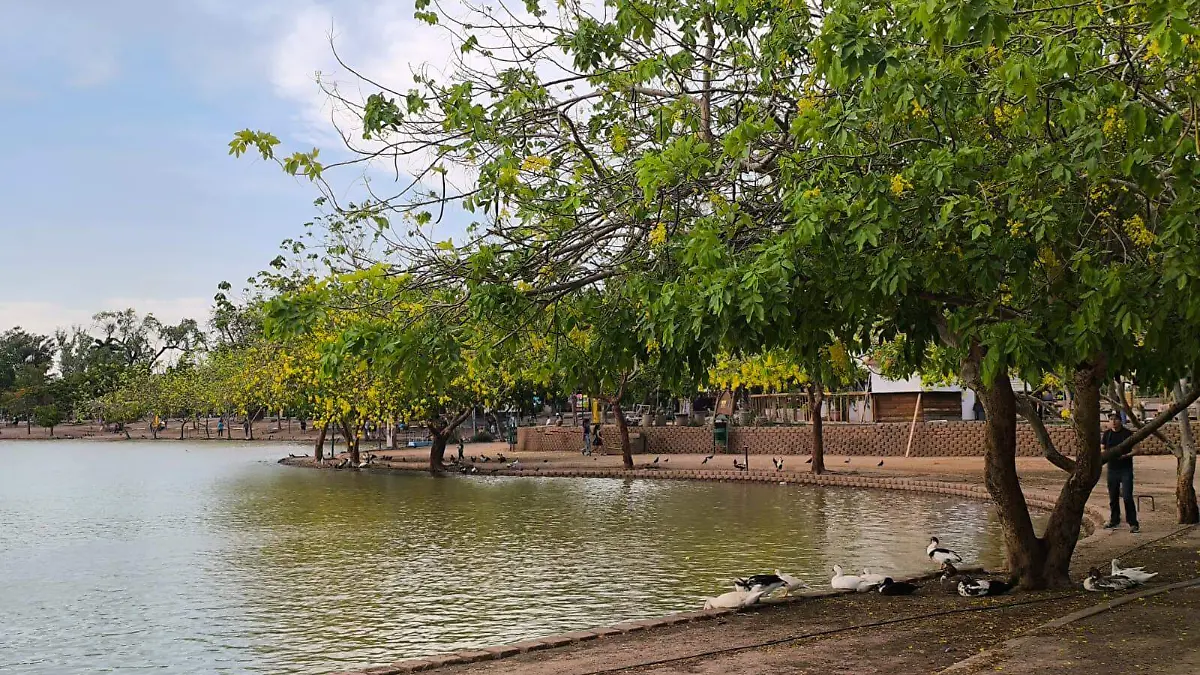 WhatsApp Image 2026-03-06 at 11.30.36