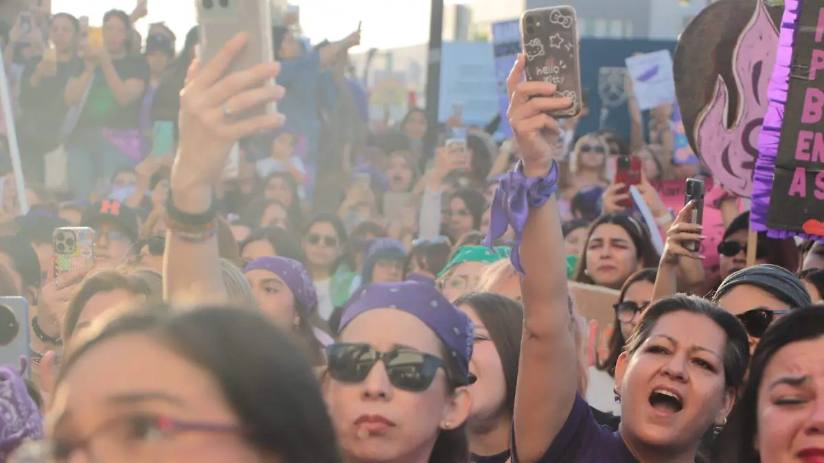 WhatsApp Image 2026-03-08 at 17.43.38