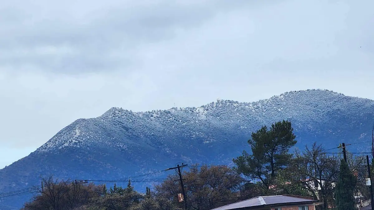 nevada cananea