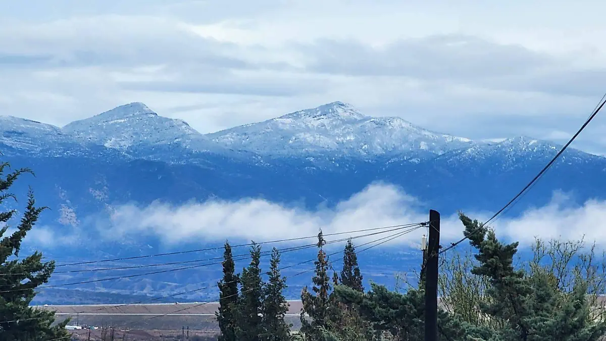 nevada cananea