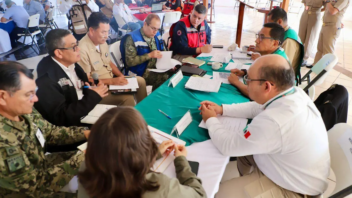 paisano protección civil