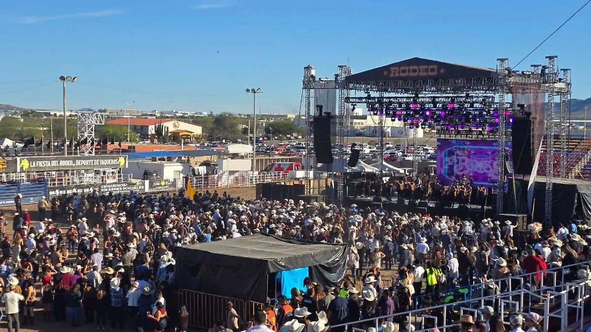 WhatsApp Image 2026-03-15 at 16.41.29