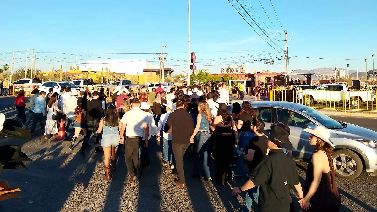 WhatsApp Image 2026-03-15 at 19.17.28