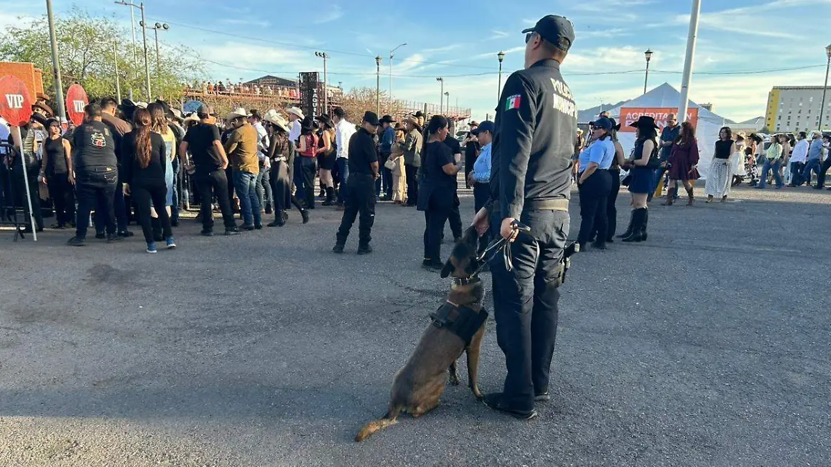 Image_20260317_124857_572