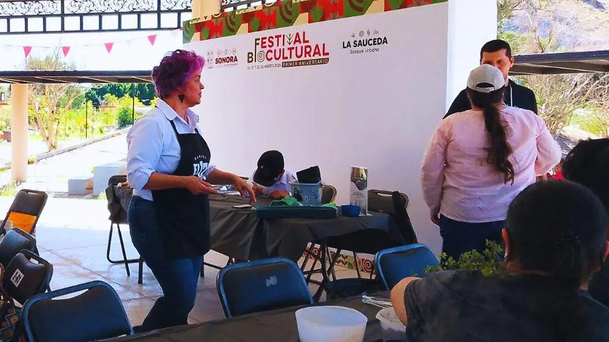 Taller plantas suculentas