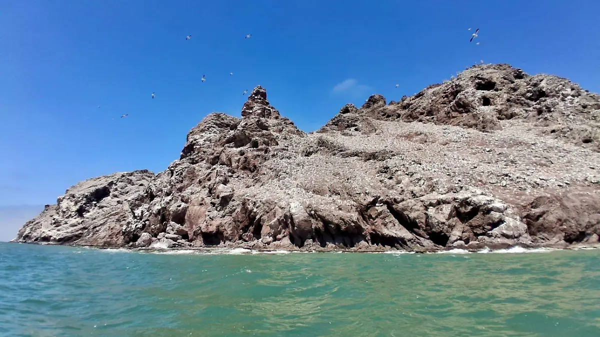 Image_20260322_182344_232