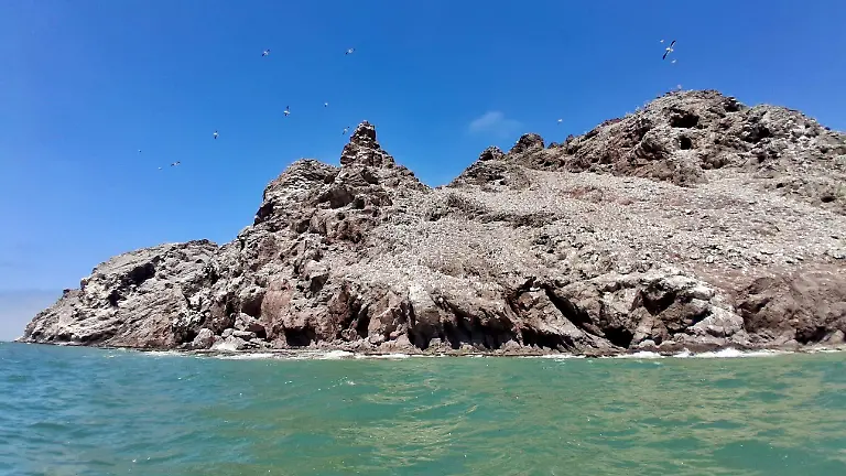 Image_20260322_182344_232