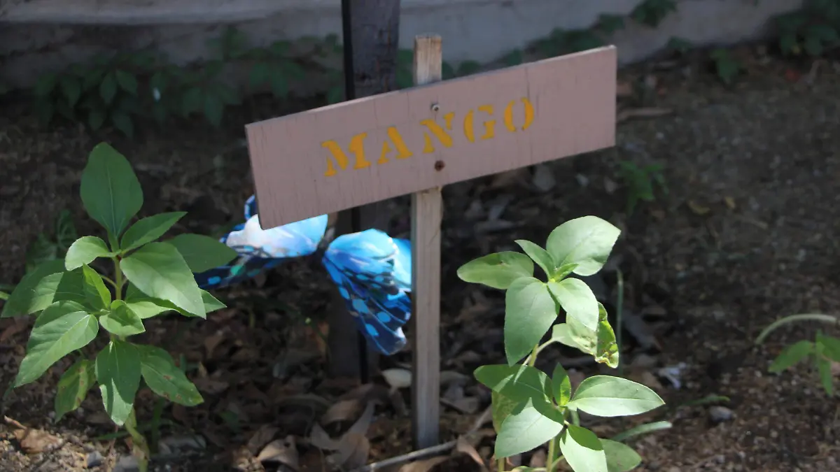 18-03-2026-Invernadero-Emma Fierro-Carlos Villalba (48)