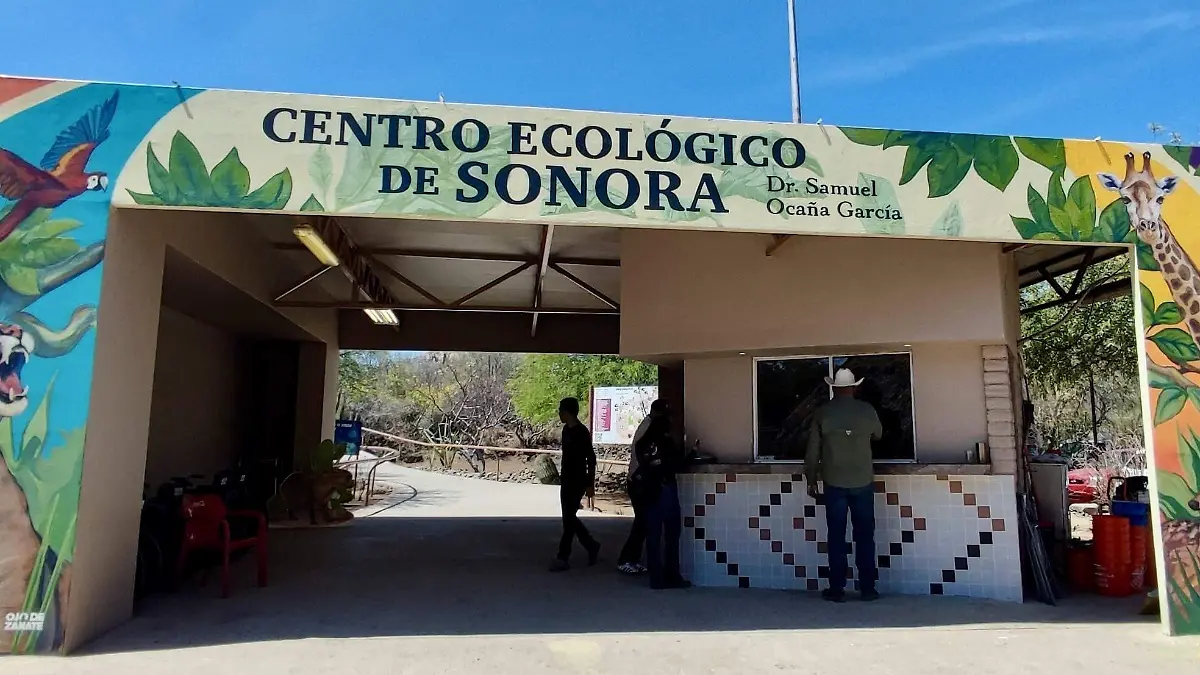 Image_20260331_122436_040