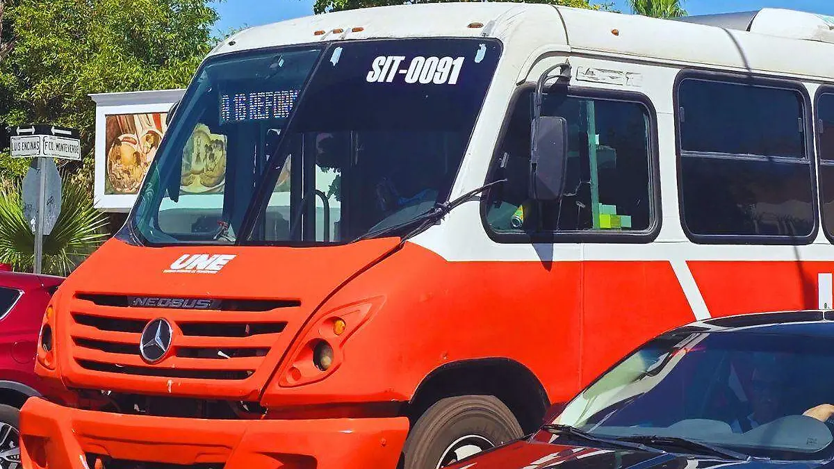 Aspectos camiones UNE ruta 16 - Mike Acosta (2)