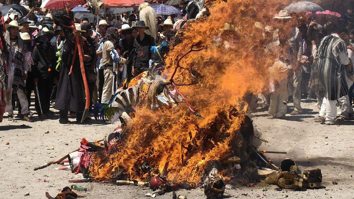 IMG_20260404_122417_1