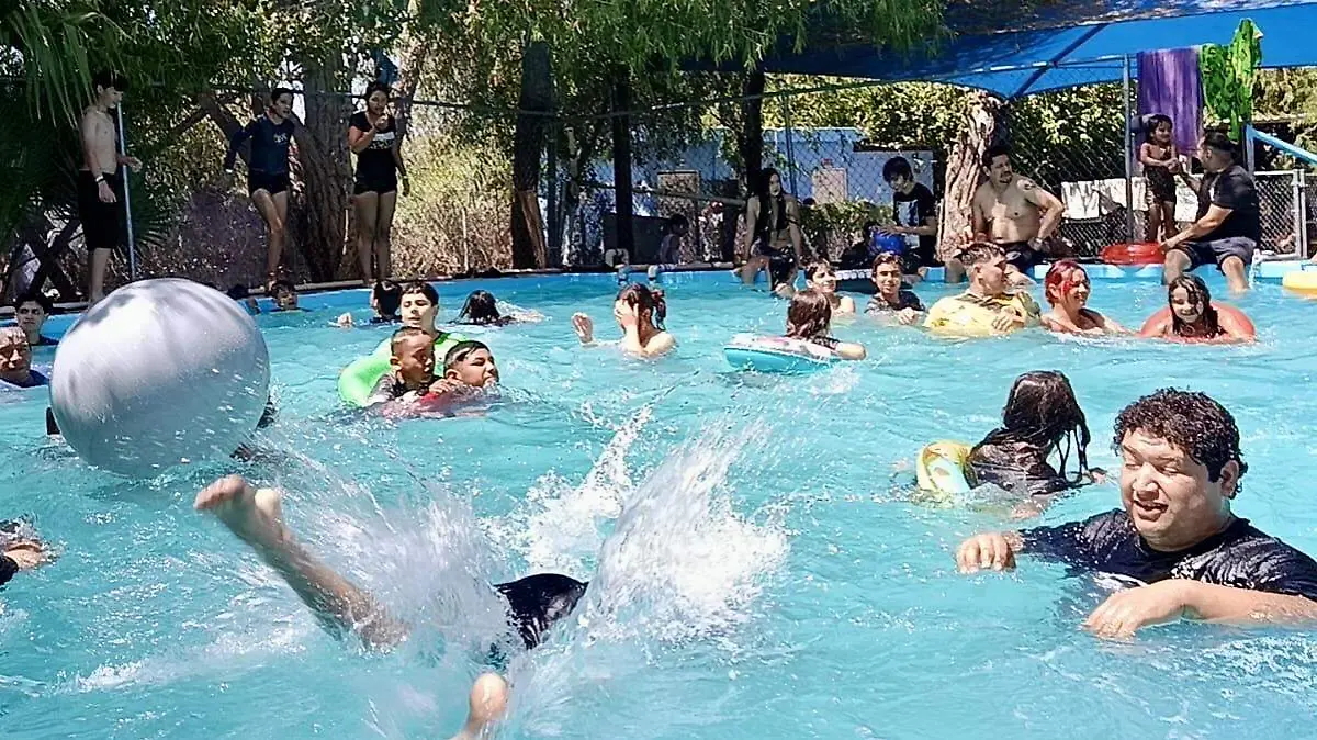 Image_20260404_175026_066