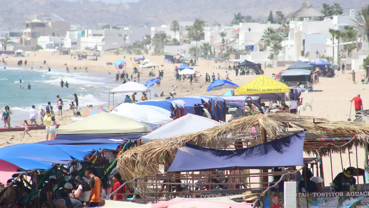 22-03-2026-ASpectos Bahía Kino-Carlos Villalba (87)