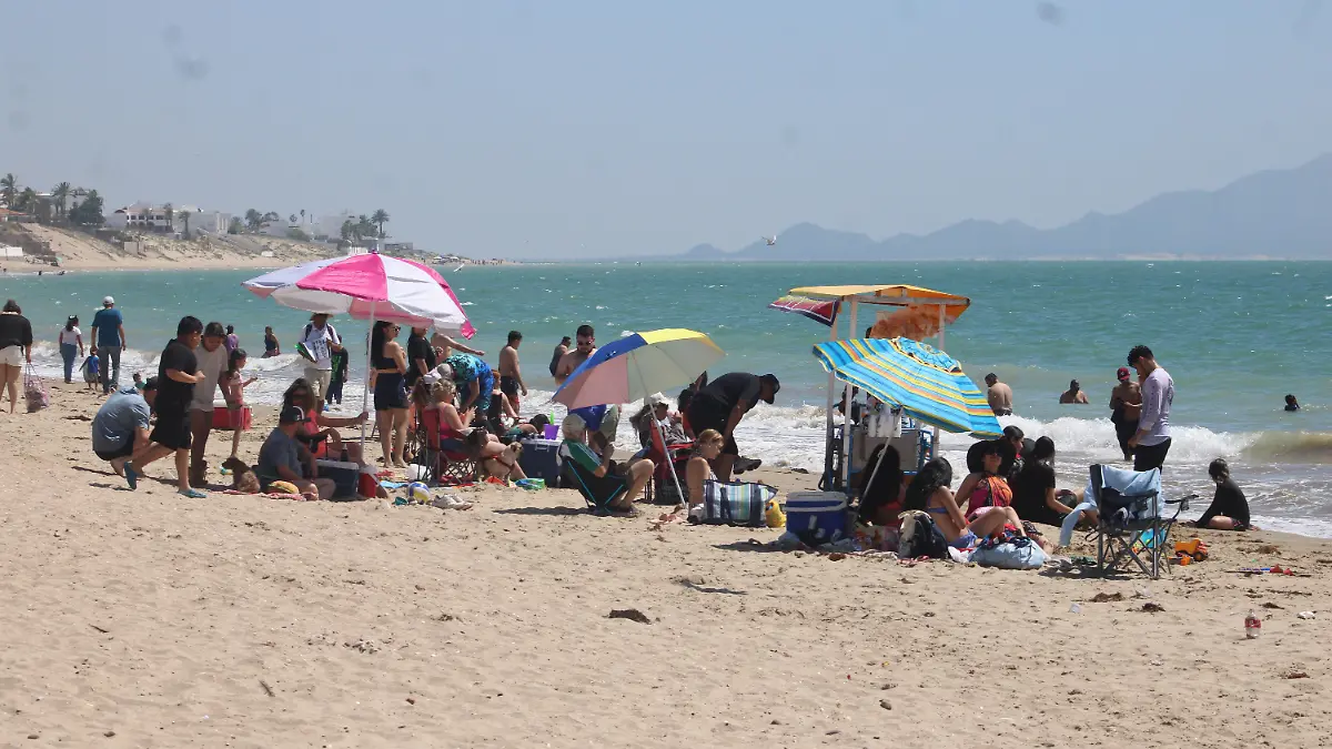 22-03-2026-ASpectos Bahía Kino-Carlos Villalba (114)