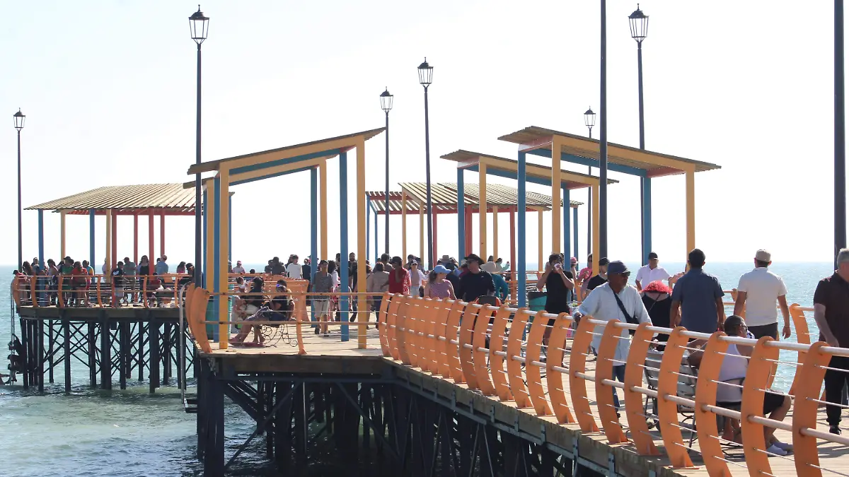 22-03-2026-ASpectos Bahía Kino-Carlos Villalba (121)