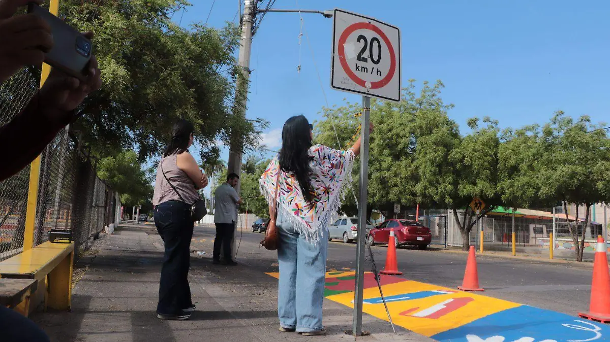 señalización artística en el cruce de Colosio y Galeana (3)