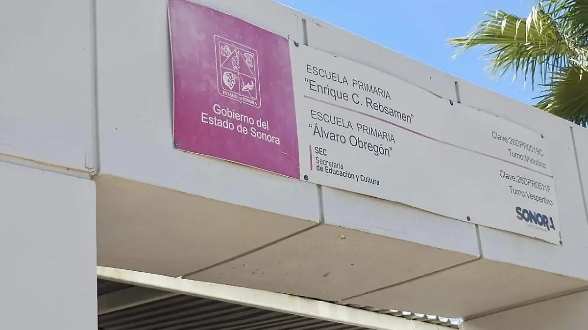 Escuela Primaria Enrique C. Rébsamen1