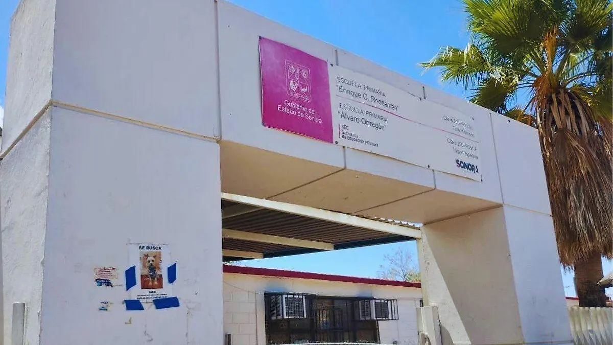 Escuela Olivos