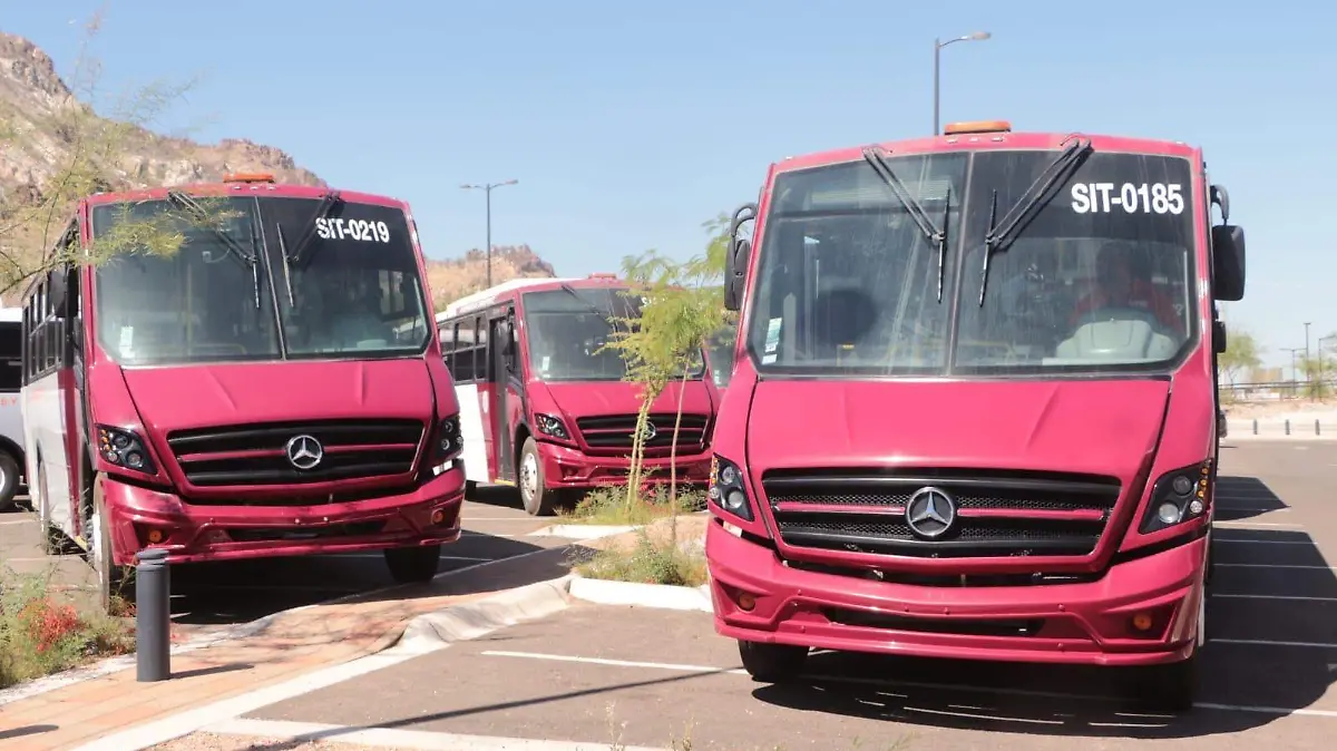 transporte urbano - nuevas lineas1