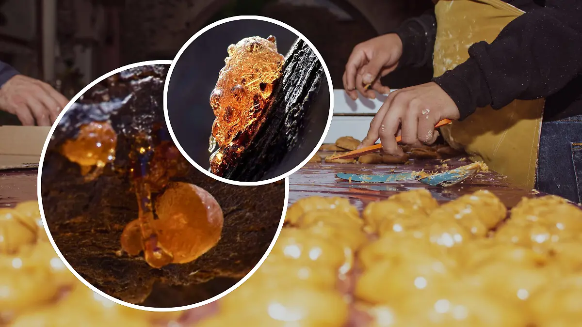 FULL SCREEN  JAMONCILLOS DE CHÚCATA