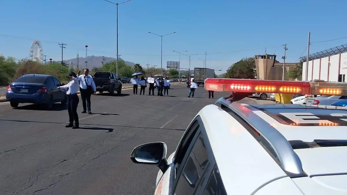 WhatsApp Image 2026-04-20 at 10.16.40 (3)