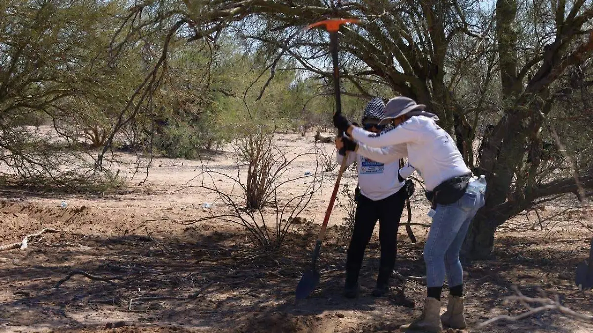 Image_20260421_135553_688