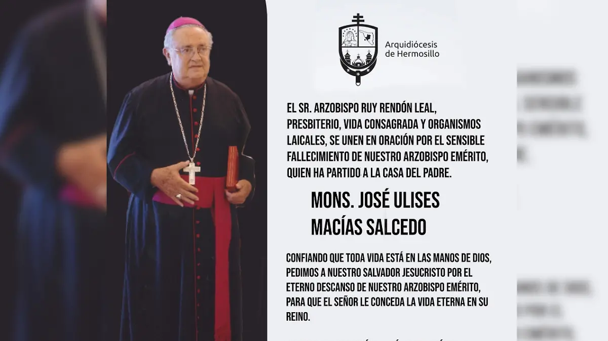 FULL SCREEN WITH BLUR  fruncidos