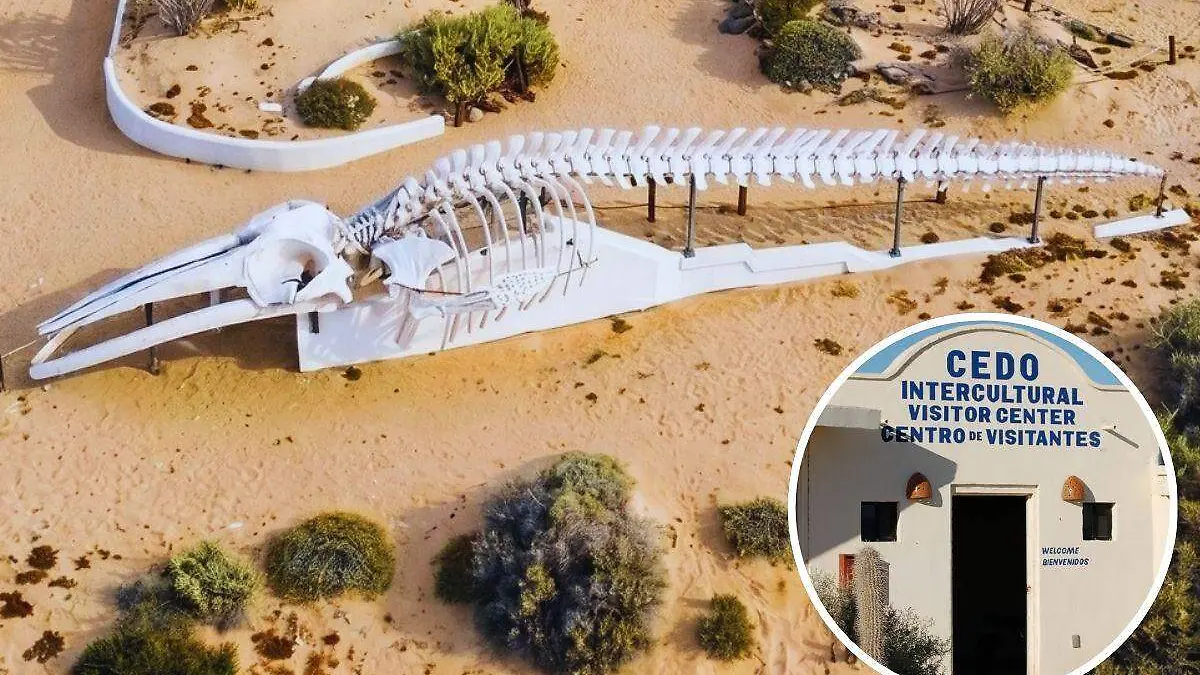 Poquito de todo Peñasco