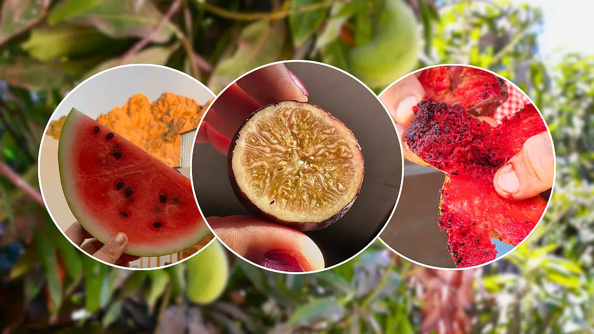 FULL SCREEN W THREE IMAGES  FRUTAS DE TEMPORADA PRIMAVERAL 