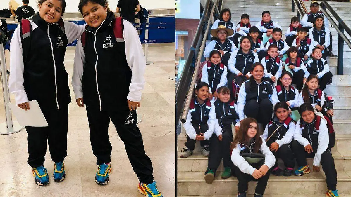 Hockey sobre pasto_