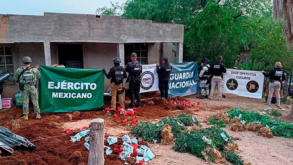 Cucurpe Mariguana
